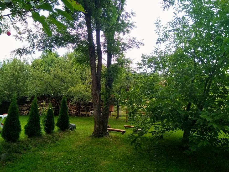 Casa Lacul Mierlei Sovata Exterior foto